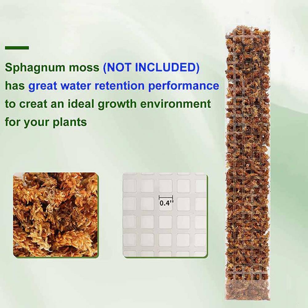 Sphagnum Moss Dry - Supporto per Piante Rampicanti con Pali