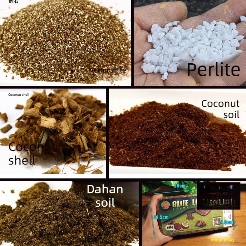 Substrato in Fibra di Cocco pe - Sphagnum Moss Dry recensione e prezzo