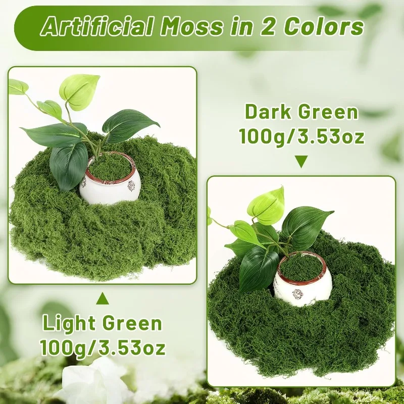 Erba muschiata artificiale per - Sphagnum Moss Dry recensione e prezzo