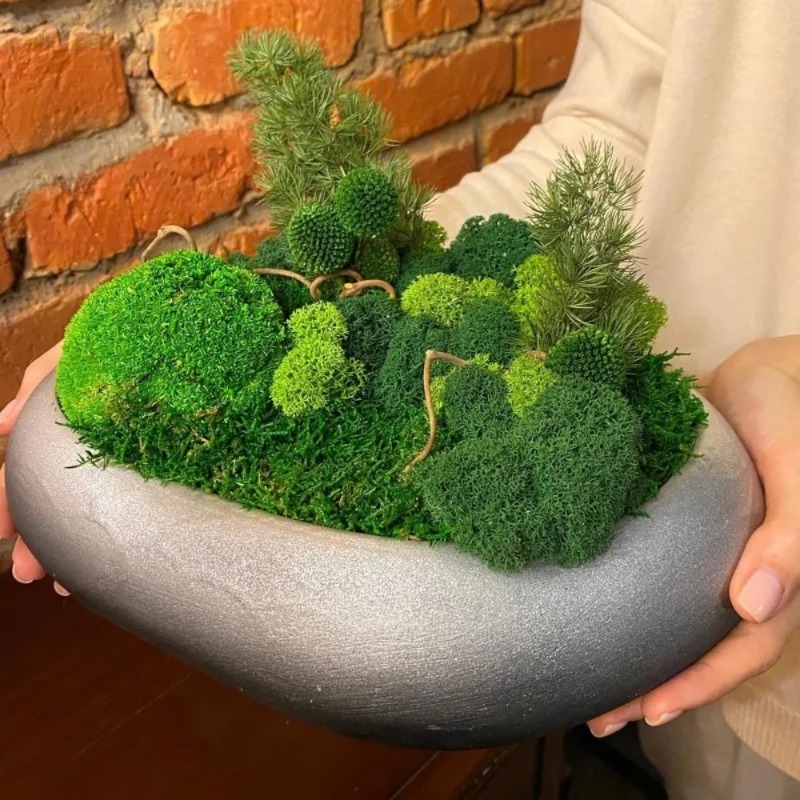 Muschio Finto Artificiale Verd - Sphagnum Moss Dry recensione e prezzo