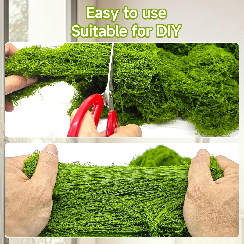 Muschio Artificiale per Vita E - Sphagnum Moss Dry recensione e prezzo